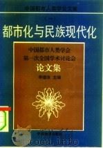 都市化与民族现代化  中国都市人类学第一次全国学术讨论会论文集（1994 PDF版）