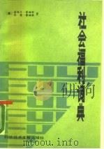 社会福利词典（1989 PDF版）