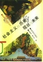 社会主义的历史、现状与未来（1995 PDF版）