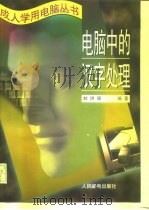 电脑中的汉字处理（1996 PDF版）