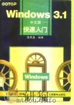 Windows 3.1中文版 快速入门（1994 PDF版）