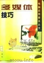 多媒体技巧（1998 PDF版）