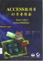 ACCESS数据库初学者指南（1995 PDF版）