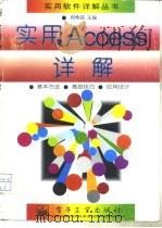 实用Access详解（1996 PDF版）