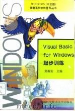 Visual Basic for Windows起步训练（1999 PDF版）
