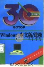 Windows 中文版/进阶（1995 PDF版）