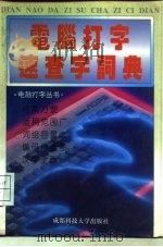 电脑打字速查字词典（1995 PDF版）
