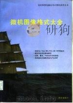 微机图像格式大全（1992 PDF版）
