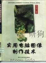 实用电脑图像制作技术（1999 PDF版）