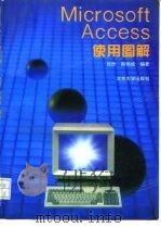 Microsoft Access使用图解（1994 PDF版）