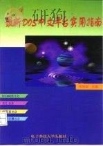 最新DOS中文平台实用指南（1996 PDF版）