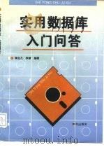 实用数据库入门问答（1996 PDF版）
