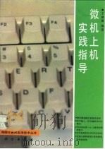 微机上机实践指导（1993 PDF版）