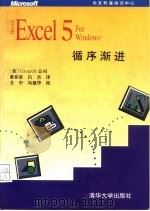 Microsoft Excel 5 for Windows 循序渐进（1994 PDF版）