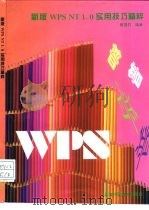 新版WPS NT 1.0实用技巧精粹（1996 PDF版）