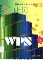 新版WPS NT 1.0速成入门（1996 PDF版）