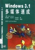 Windows 3.1多媒体速成（1994 PDF版）