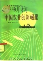中国农业的新崛起（1984 PDF版）