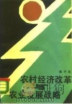 农村经济改革与农业发展战略（1988 PDF版）