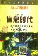 信息时代  电子商务与数字化未来（1999 PDF版）