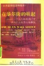在华尔街的崛起-一个人怎样利用已有的知识在股票市场赚钱 1990 PDF电子版封面 7800362973 (美)林奇,(美)罗斯柴尔德著;秦亚青等译