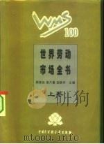 世界劳动市场全书  精装合订本（1995 PDF版）