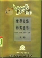 世界市场形式全书  精装合订本（1995 PDF版）