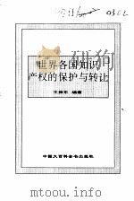 百卷本世界市场全书  世界各国知识产权的保护与转让（1995 PDF版）