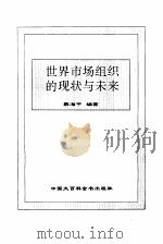 世界市场组织的现状与未来（1995 PDF版）