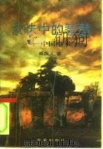 蒙昧中的智慧  中国巫术（1994 PDF版）