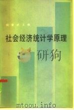 社会经济统计学原理 1985 PDF电子版封面 4212·22 杨曾武主编