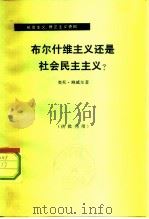布尔什维主义还是社会民主主义?（1978 PDF版）