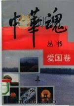 爱国卷 1992年08月第1版 PDF电子版封面 李德征