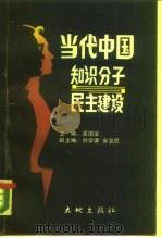 当代中国知识分子与民主建设（1989 PDF版）