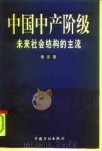 中国中产阶级  未来社会结构的主流（1999 PDF版）