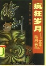 疯狂岁月-“文革”酷刑实录 1993 PDF电子版封面 7505403788 刘兴华,华章