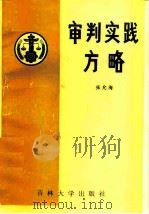 审判实践方略（1988 PDF版）