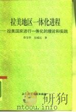 拉美地区一体化进程  拉美国家进行一体化的理论和实践（1996 PDF版）