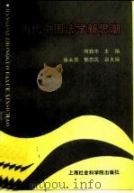当代中国法学新思潮（1991 PDF版）