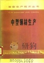 中型钢材生产（1980 PDF版）