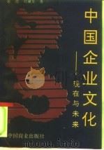 中国企业文化  现在与未来（1991 PDF版）