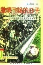 激情飞扬的日子 36位世界足球巨星命运启示录 1998 PDF电子版封面 7562608644 胡康华著