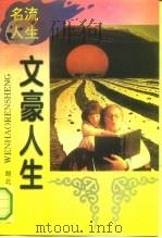 文豪人生 1994 PDF电子版封面 7216014162 樊照,易分田编