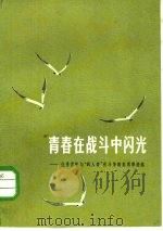 青春在战斗中闪光  优秀青年与“四人帮”作斗争的英勇事迹选（1978 PDF版）