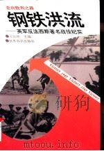 钢铁洪流 英军反法西斯著名战役纪实 1994 PDF电子版封面 7501206686 于江欣主编;于江欣,于江明著