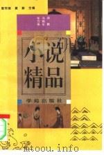 小说精品（1994 PDF版）
