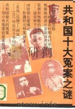 共和国十大冤案之谜（1993 PDF版）