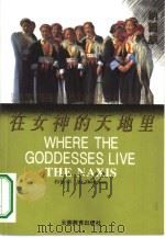 在女神的天地里（1995 PDF版）
