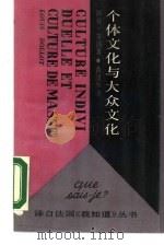 个体文化与大众文化（1987 PDF版）