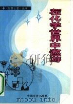 在化学世界中遨游（1990 PDF版）